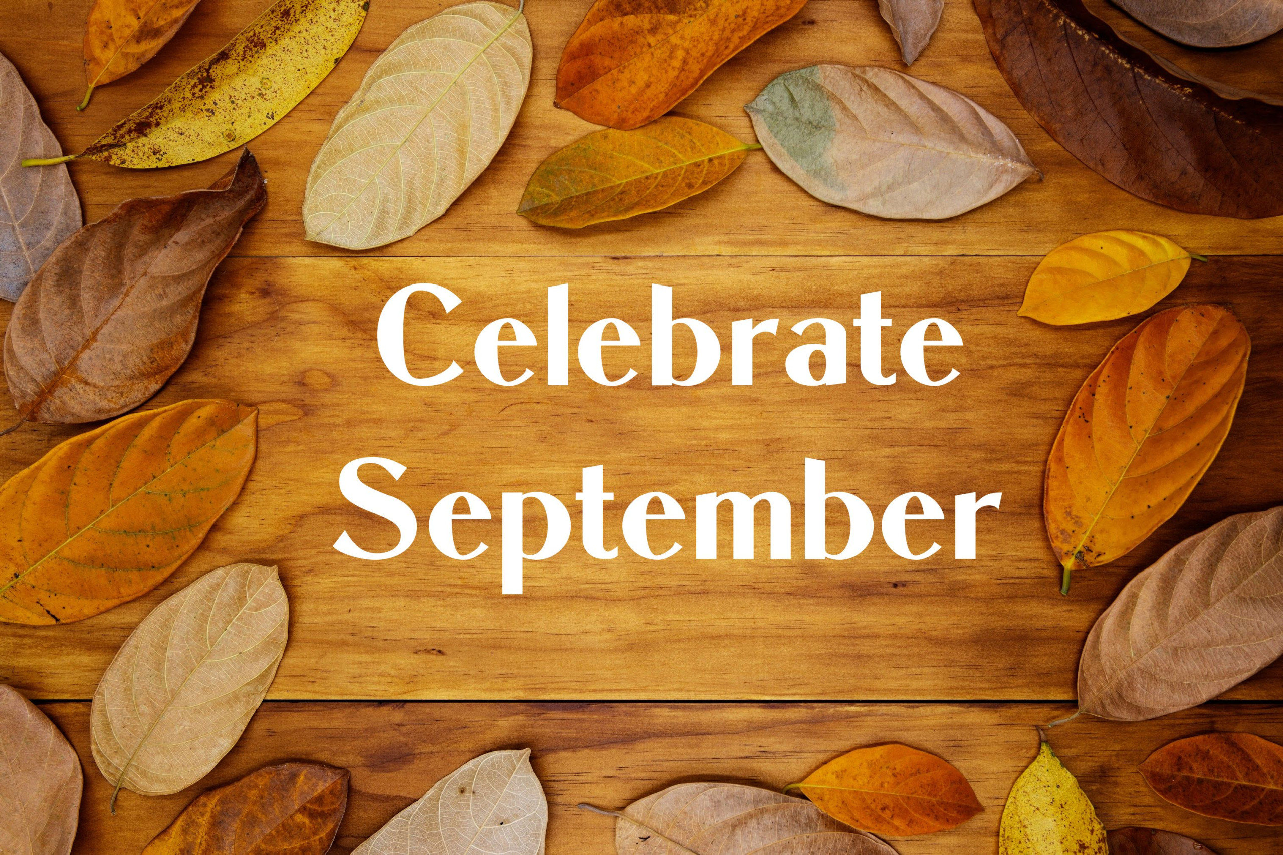 Beach Huts – Celebrate September